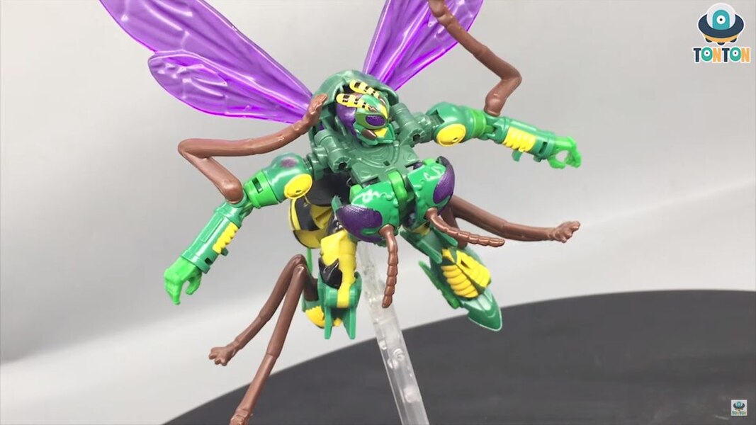 Transformers Kingdom Deluxe Class Waspinator  (24 of 35)